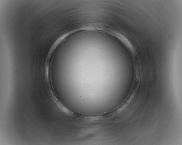 X0000114061196200910131139