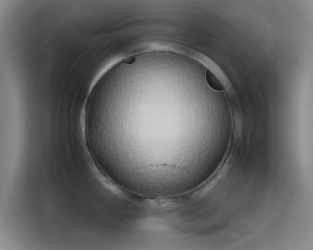 X0000114061198200910131139