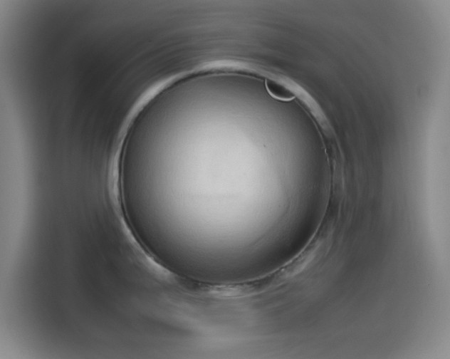 X0000114061199200910131139