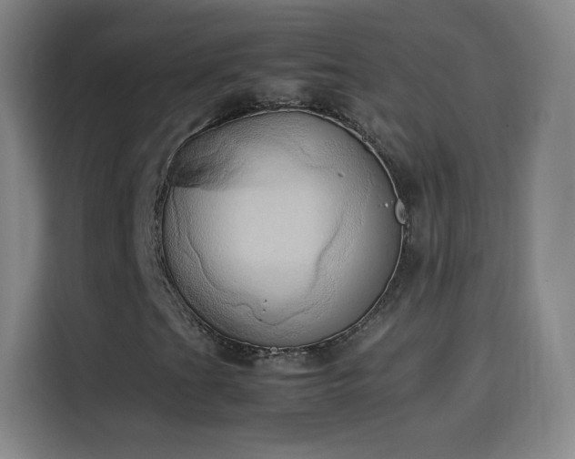 X0000114061201200910131138