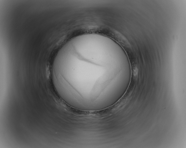 X0000114061204200910131139