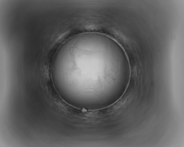 X0000114061205200910131139