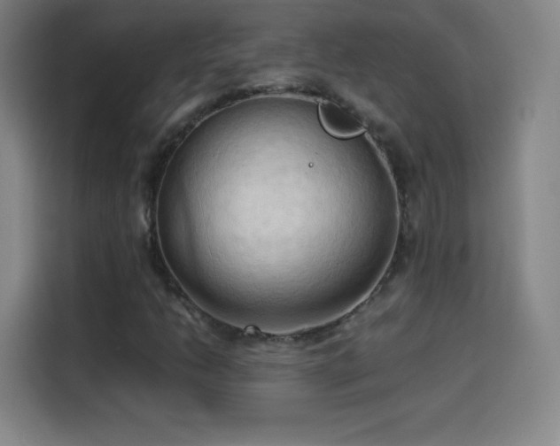 X0000114061206200910131139