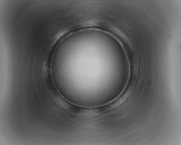 X0000114061210200910131139