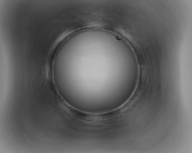 X0000114061215200910131139