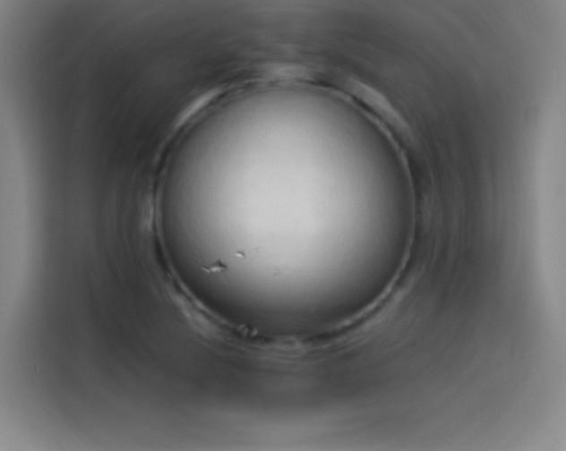 X0000114061220200910131139