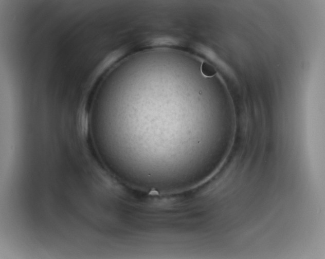 X0000114061221200910131139