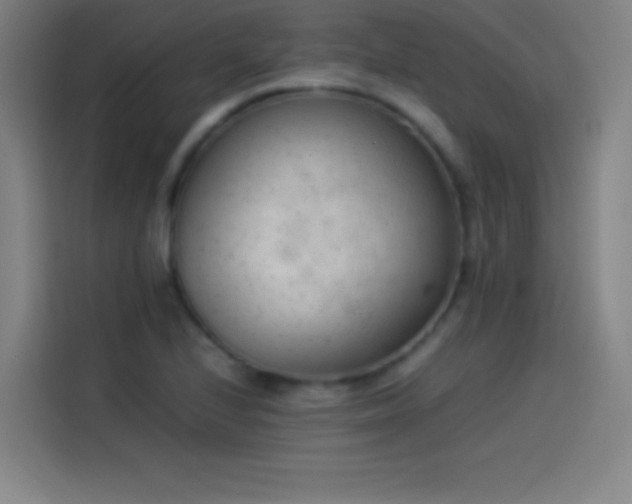 X0000114061224200910131139