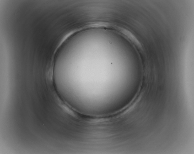 X0000114061228200910131139