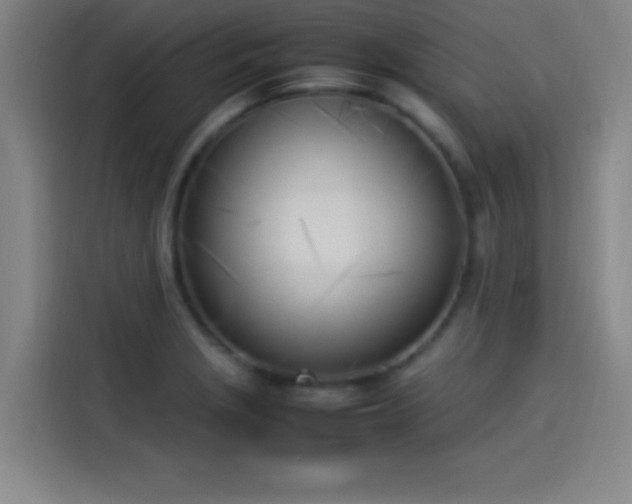 X0000114061229200910131139