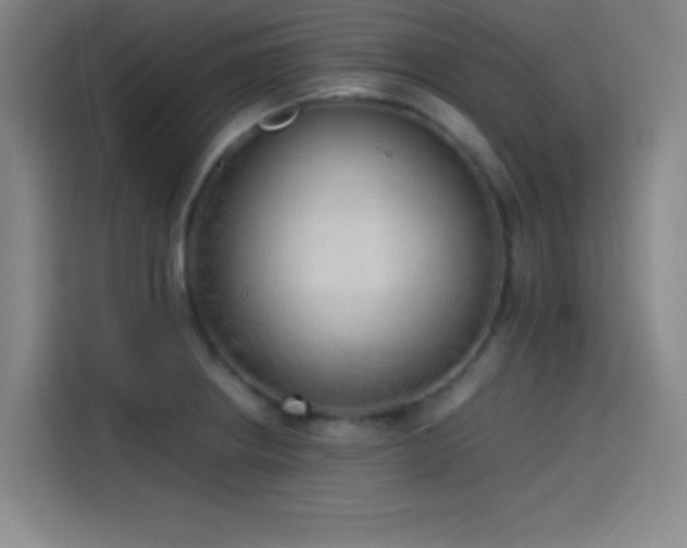 X0000114061234200910131139