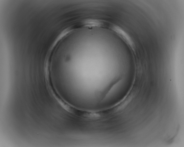 X0000114061235200910131139