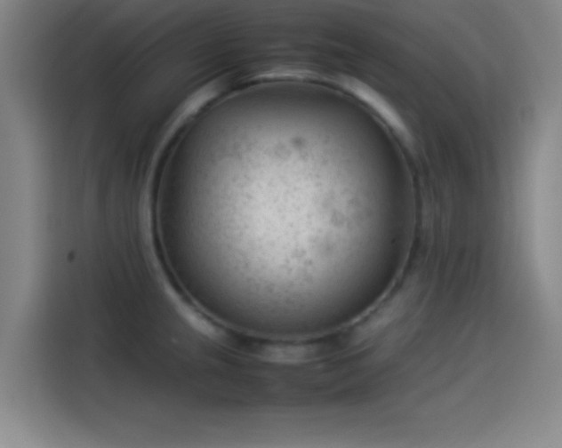 X0000114061237200910131139