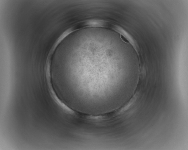 X0000114061243200910131139