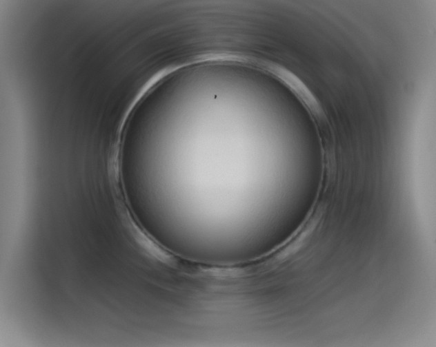 X0000114061244200910131139