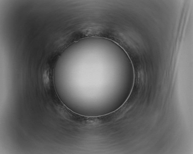 X0000114061250200910131138