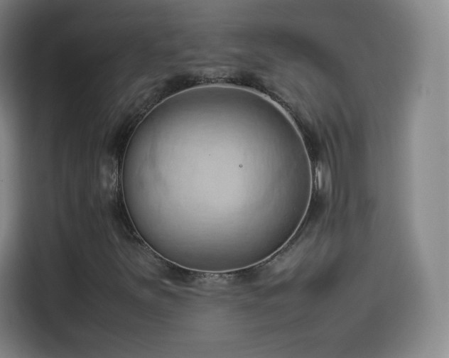 X0000114061251200910131138