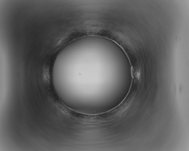 X0000114061252200910131138