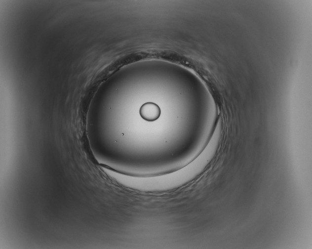 X0000114061253200910131138