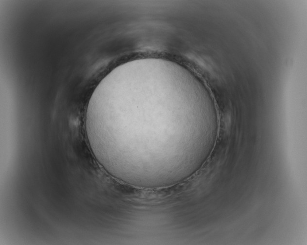 X0000114061254200910131138