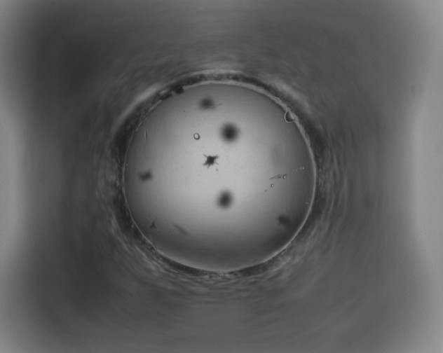 X0000114061255200910131138