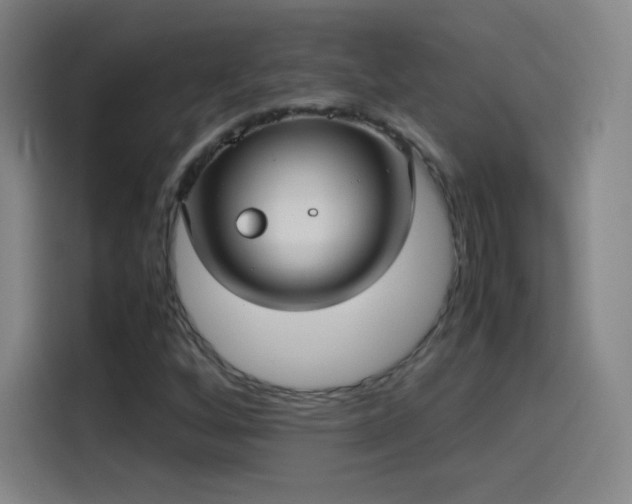 X0000114061256200910131138