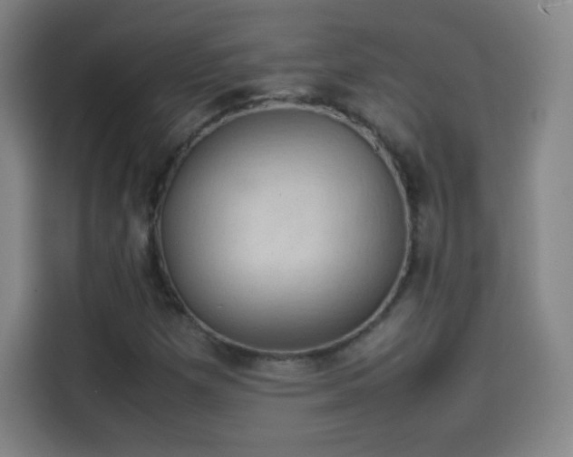 X0000114061257200910131138