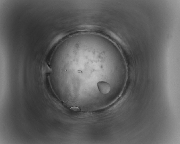 X0000114061259200910131138