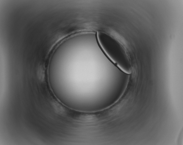 X0000114061260200910131138