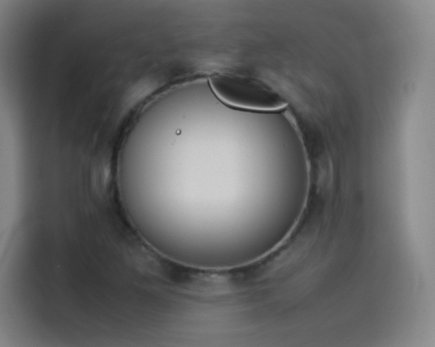 X0000114061261200910131138