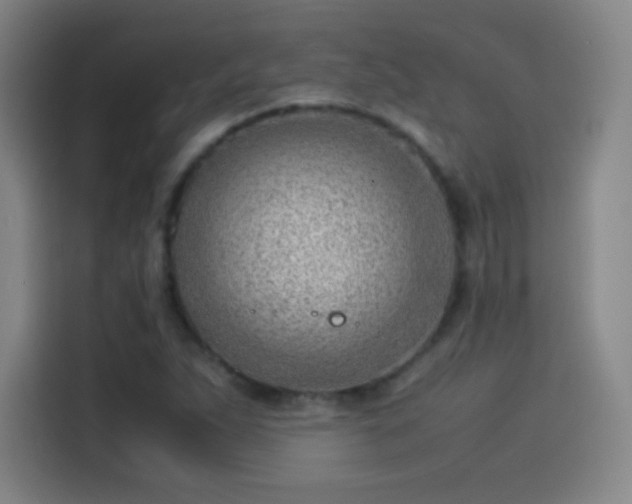 X0000114061263200910131138