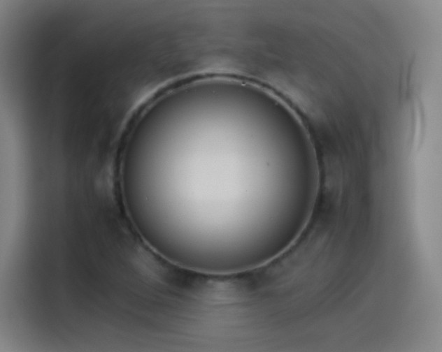 X0000114061264200910131138