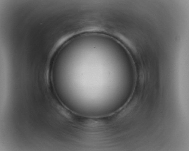 X0000114061270200910131138