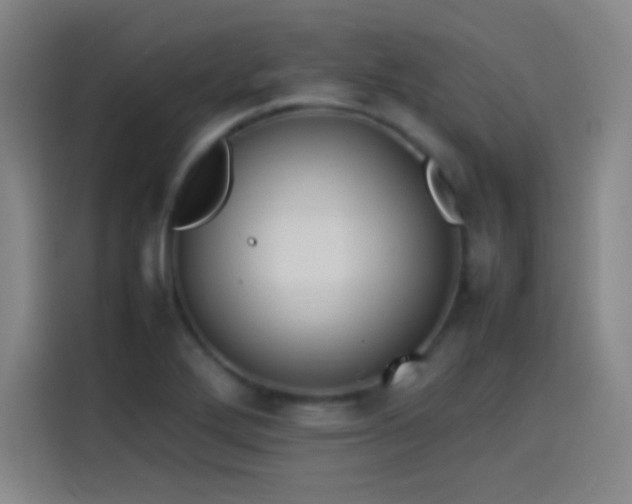 X0000114061272200910131138