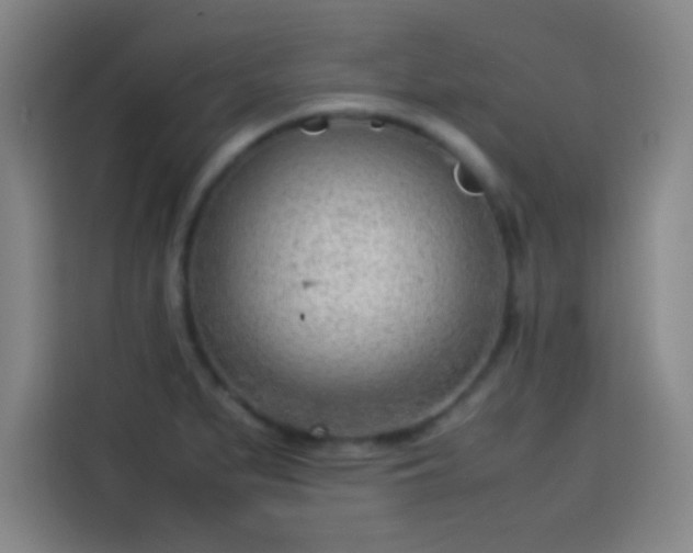 X0000114061279200910131138