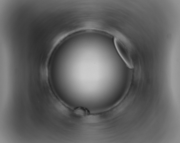 X0000114061280200910131138