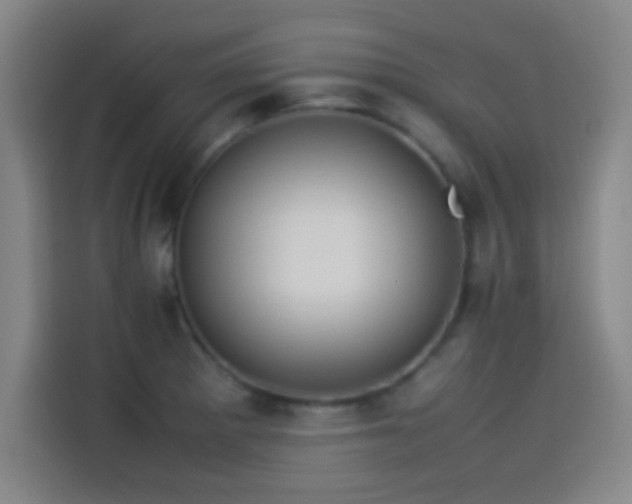 X0000114061281200910131138