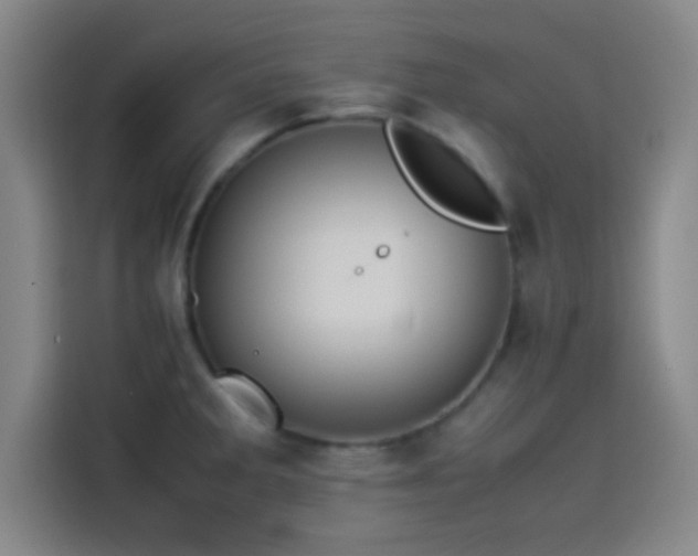 X0000114061285200910131138