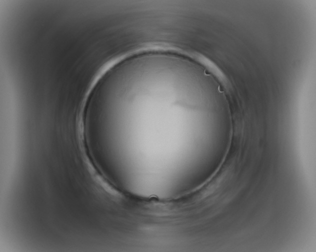 X0000114061287200910131138