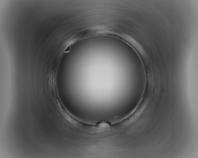 X0000114061289200910131138