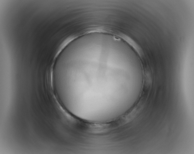 X0000114061290200910131138