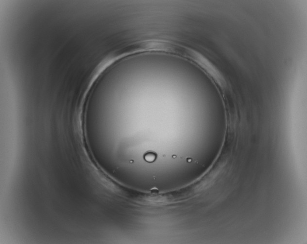 X0000114061291200910131138