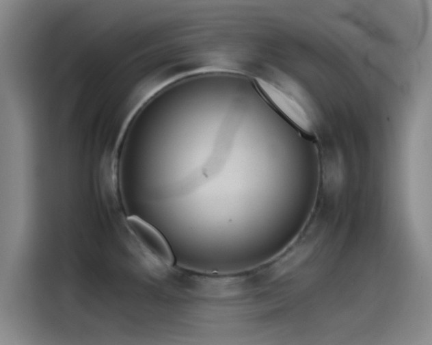 X0000114061292200910131138