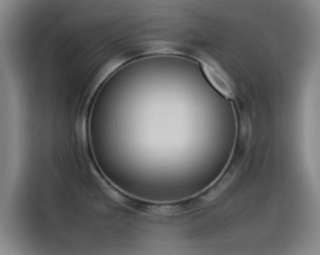 X0000114061293200910131138