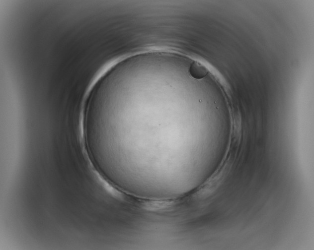 X0000114061294200910131138