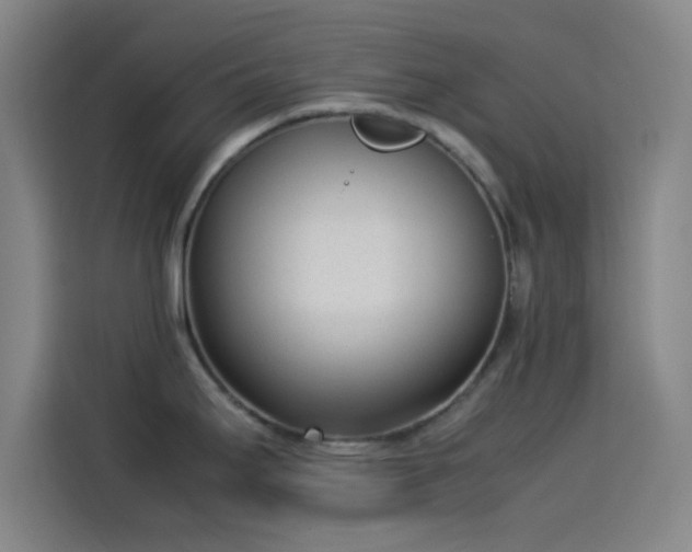 X0000114061295200910131138