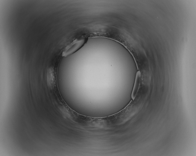 X0000114061298200910131137