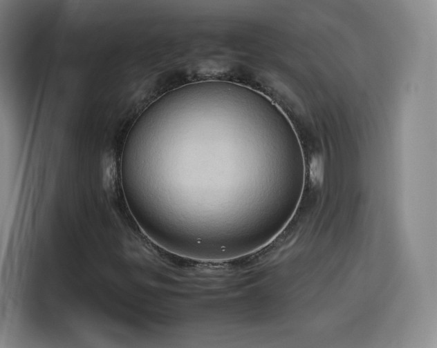 X0000114061299200910131137