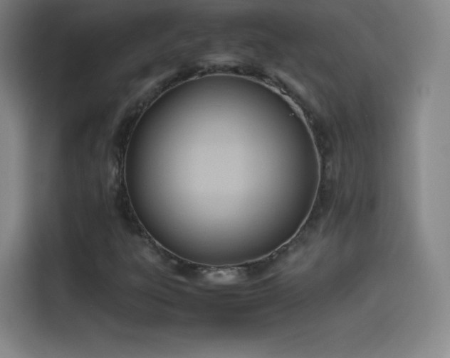 X0000114061303200910131137