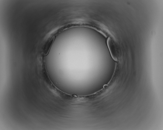 X0000114061304200910131137